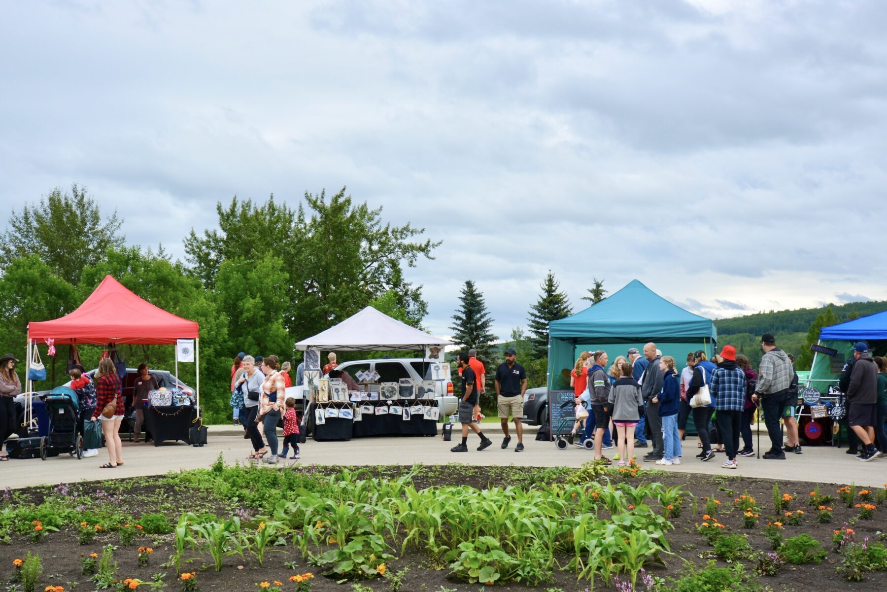Tents and people at the Athabasca Farmers Market